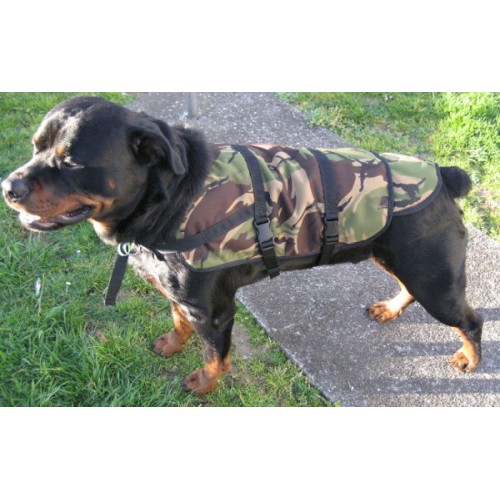 hunting and fishing dog coats